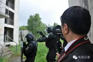 吃瓜党前线记者,吃瓜党前线记者揭秘娱乐圈幕后真相