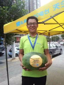 吃瓜群众郑州徐州,吃瓜群众视角下的城市风云录