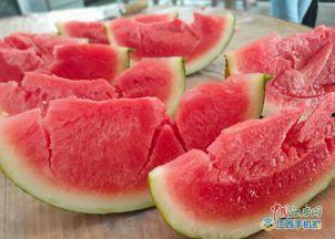 黎川最新吃瓜新闻,神秘事件背后真相大揭秘！