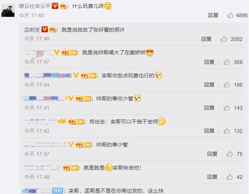 瓜瓜吃瓜活动设计点评,趣味互动，欢乐无限