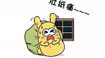 吃瓜群众葛哞哞,揭秘娱乐圈幕后故事